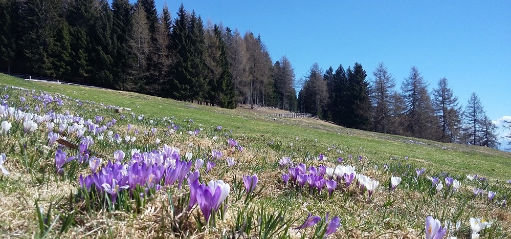 Frühling