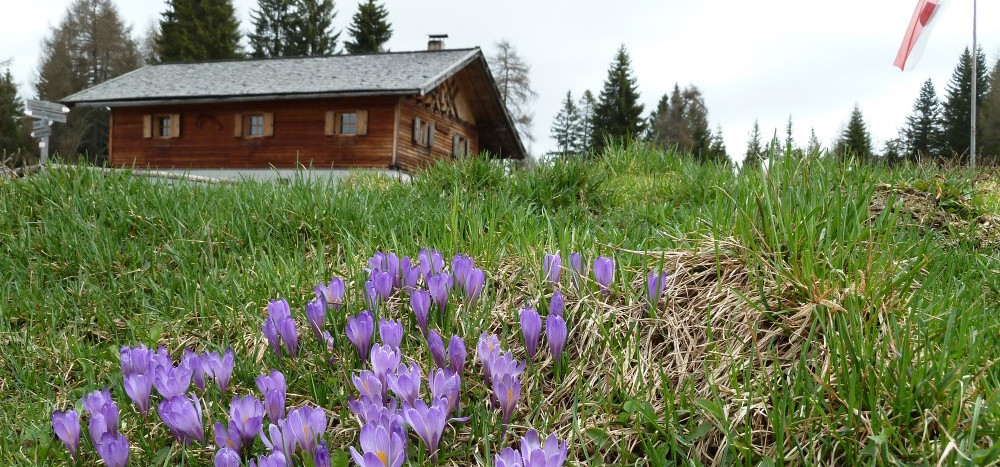 Frühling