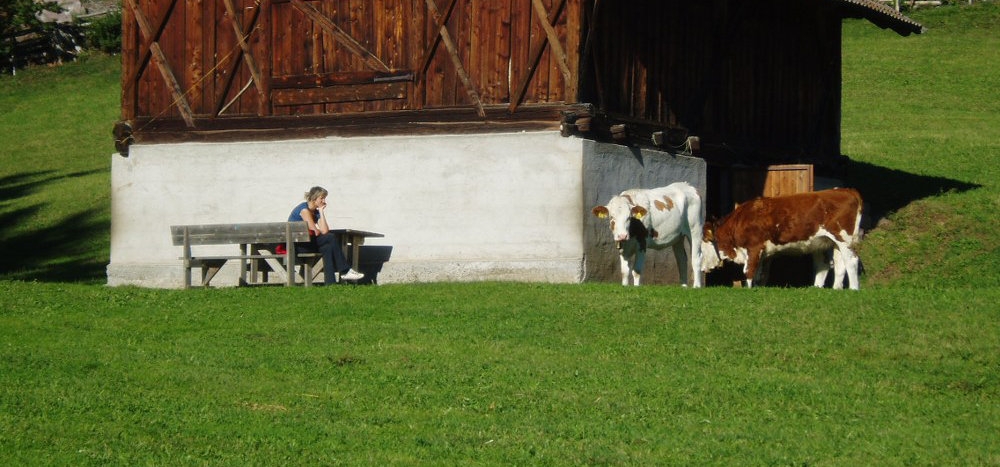 Landwirtschaft & Tiere