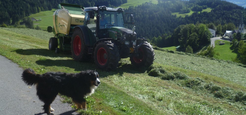 Landwirtschaft & Tiere