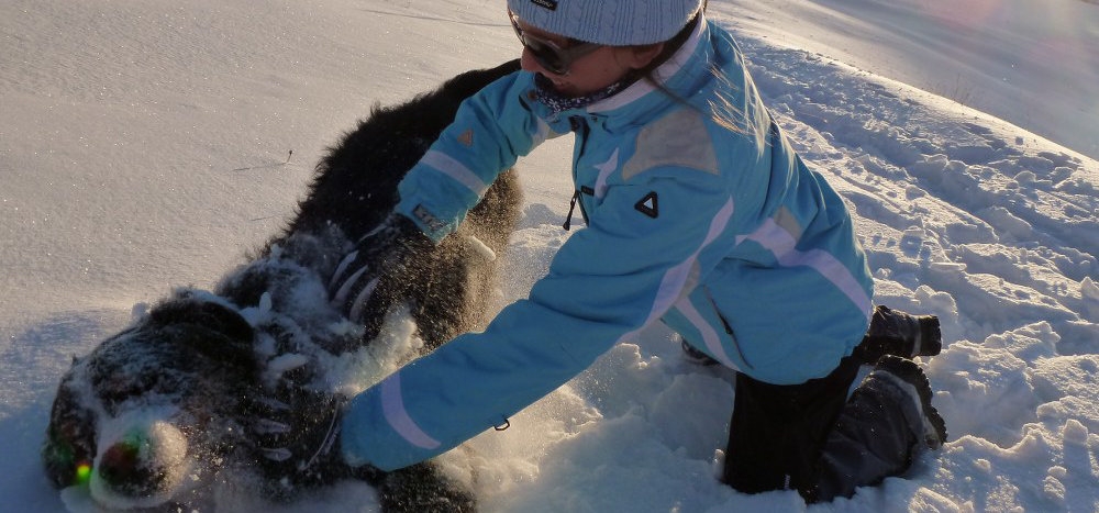 Winterparadies