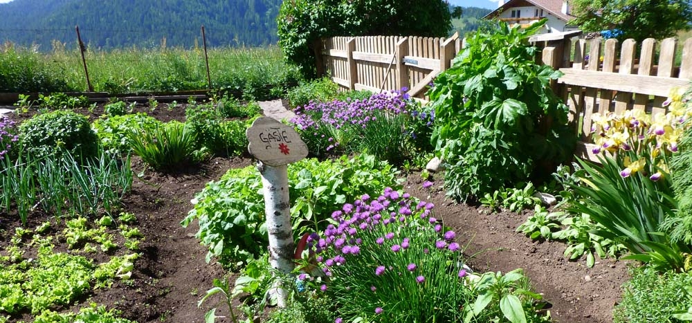 Moarhof – Bauerngarten