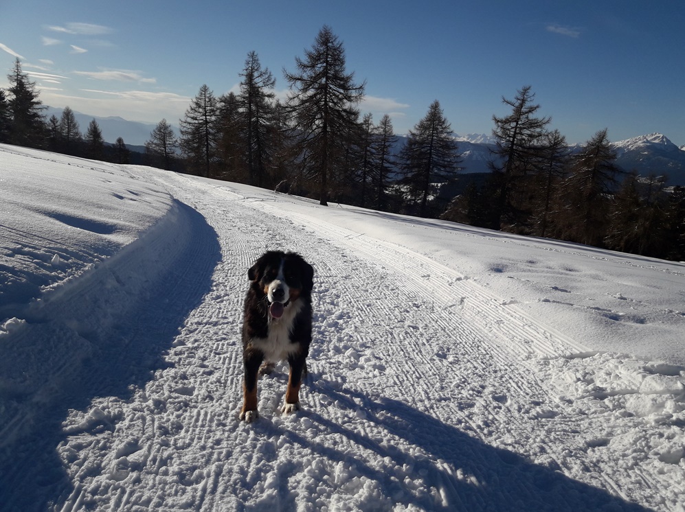 Moarhof-Winter-Wandern