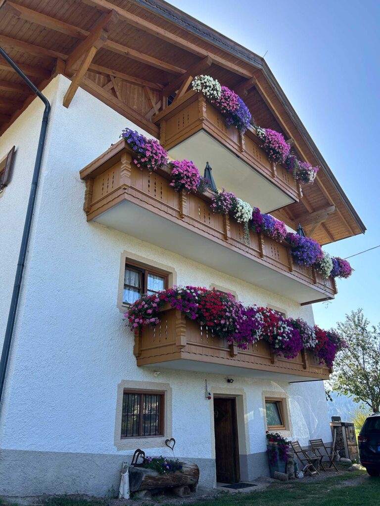 Moarhof-2