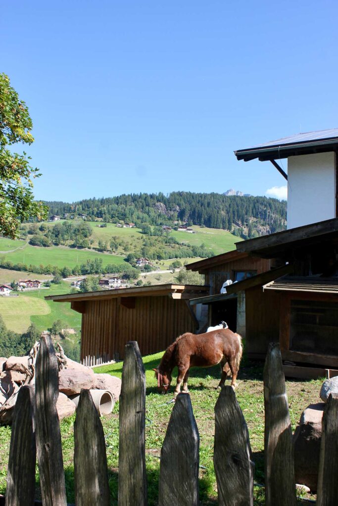 Moarhof-47